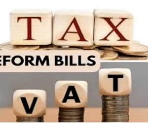 This Is What VAT in Nigeria’s Tax Reform Means for Average Nigerians and Small Businesses