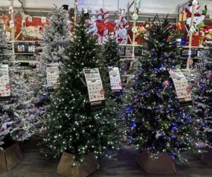Despite doubts over economy, Americans set for record holiday spending