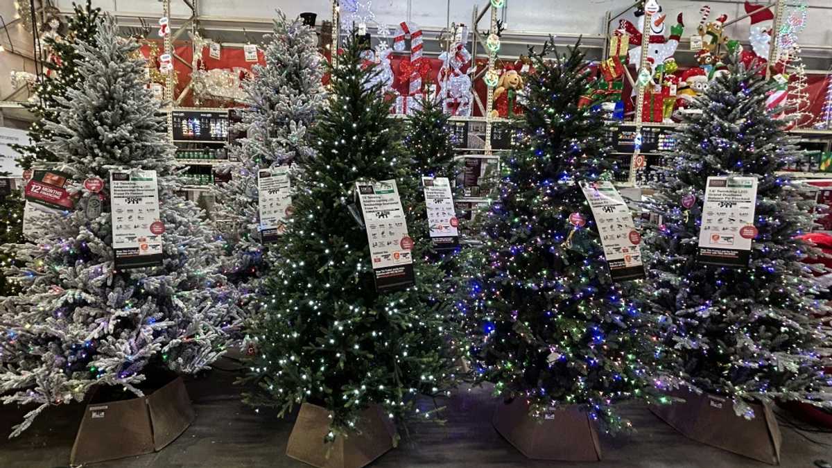 Despite doubts over economy, Americans set for record holiday spending