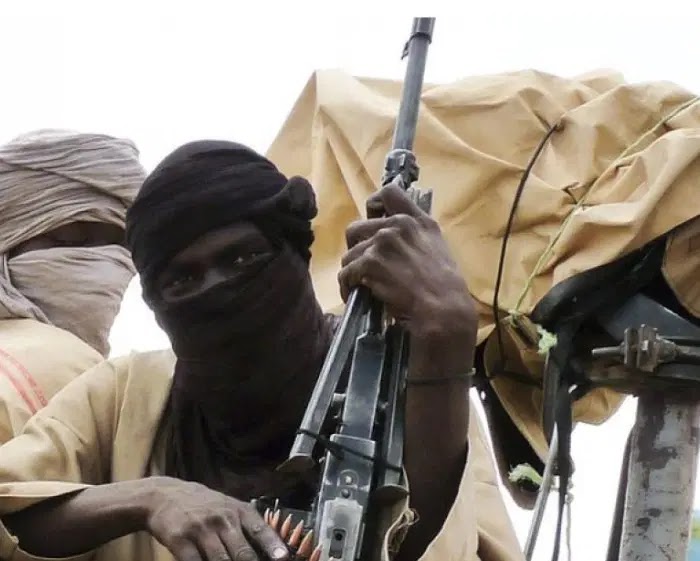 99 percent of bandits operating in the North are Nigerians  —  Security expert