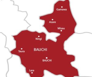 Bauchi: Bandits Kill Community Leader, Abduct Wife