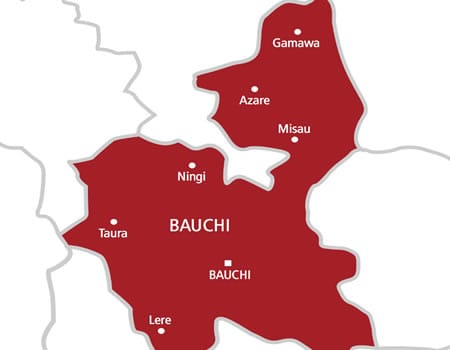 Bauchi: Bandits Kill Community Leader, Abduct Wife