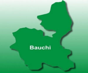 Bauchi Provides Malaria Treatment For 2m Children