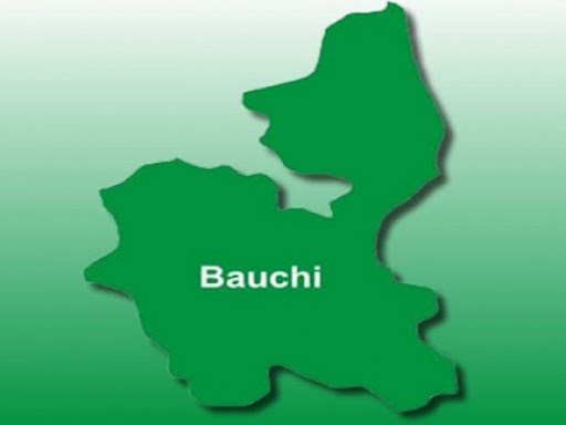 Bauchi Govt. Shuts All Public, Private Primary, Secondary, Tertiary Institutions Over Security Fears
