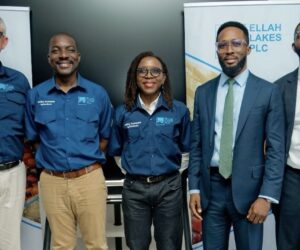 Ellah Lakes Capital Raise on the NGX: An Integrated Agribusiness Giant Shifts into High Gear