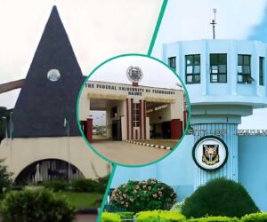 Here are Nigeria’s 12 cheapest federal universities for a degree without going broke