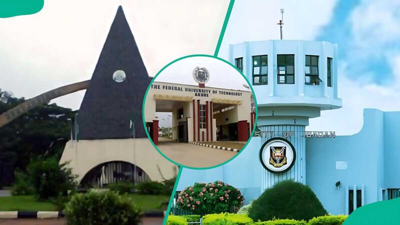 Here are Nigeria’s 12 cheapest federal universities for a degree without going broke