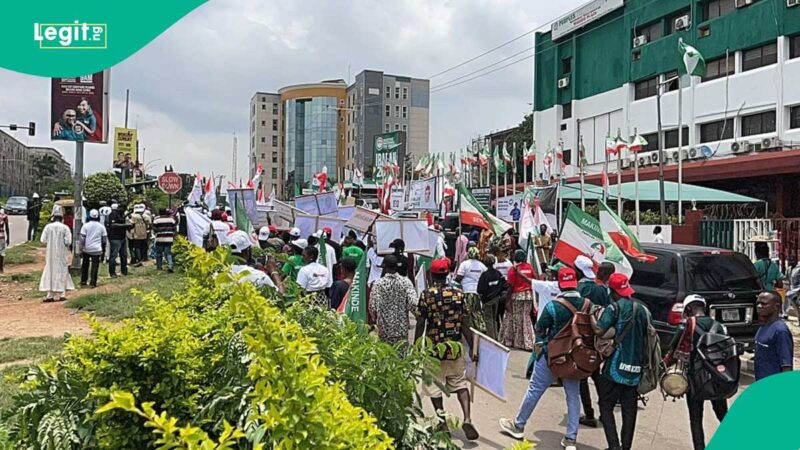 “What PDP needs to return to its glory days”: Analyst explains