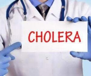 Adamawa: Cholera kills 10 in Mubi, residents urged to observe hygiene 