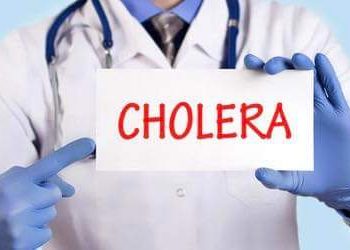 Adamawa: Cholera kills 10 in Mubi, residents urged to observe hygiene 
