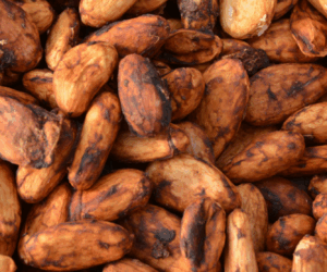 The Income Accelerator: Potential For Cocoa Farming In Nigeria?