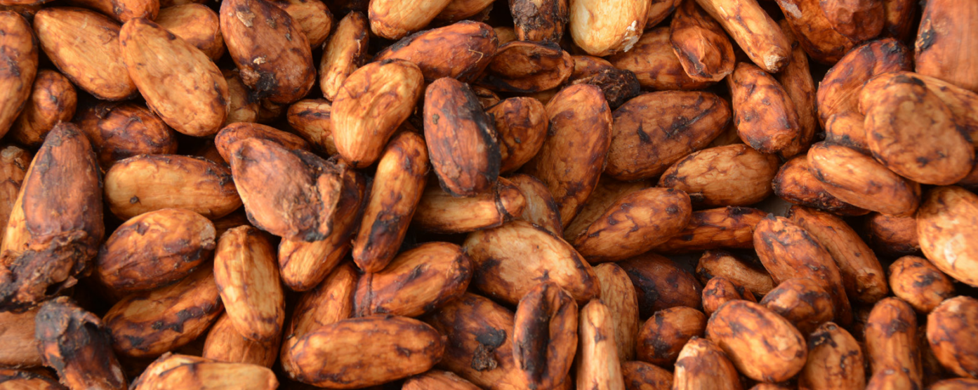 The Income Accelerator: Potential For Cocoa Farming In Nigeria?
