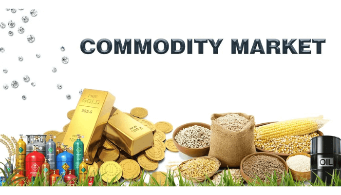 Unlocking alpha with seasonality in commodity markets