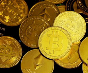 Obiex hits profitability after bootstrapped operations