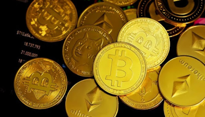 Obiex hits profitability after bootstrapped operations