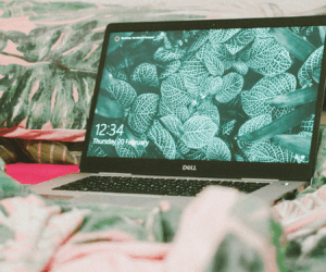 Is the Internet Less Fun? AI, Commerce, and SEO Culture Is Killing the Magic