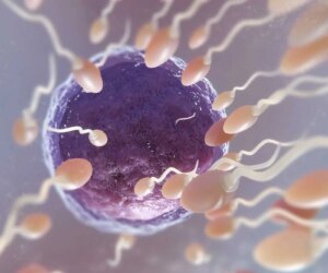 Men, don’t ignore these 5 signs of infertility – a Doctor warns