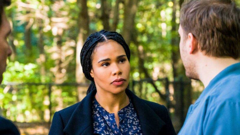 Roxy Sternberg’s biography: A look inside FBI: Most Wanted star’s relationships and career