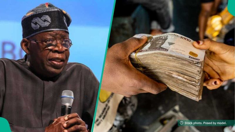 N150,000 Monthly Internship: FG Announces New Deadline Date for Nigerian Youths To Apply