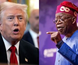 Nigerian Professionals in Europe Report Trump to EU Over US Military Threat