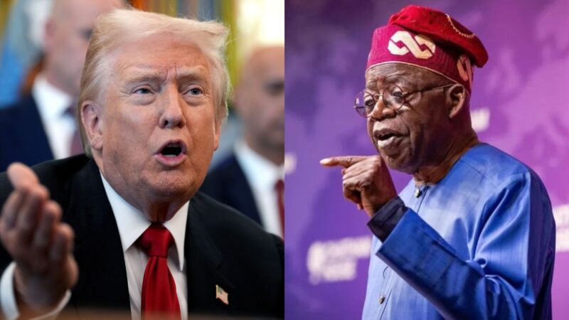 Nigerian Professionals in Europe Report Trump to EU Over US Military Threat