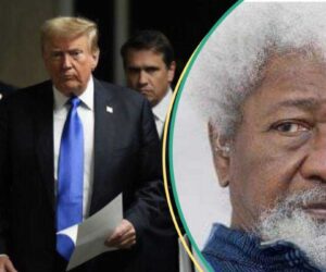 Trump’s Threat: Soyinka Tells US President the Real Problem