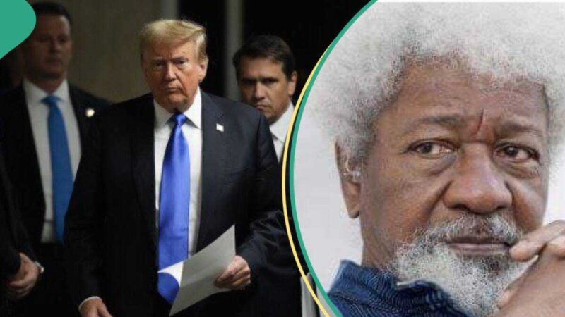 Trump’s Threat: Soyinka Tells US President the Real Problem