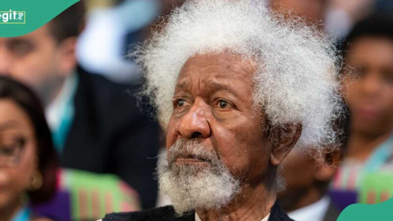 Attacks and Killings: Wole Soyinka Slams Buari, Tells Tinubu What to Do With Foreign Interventions