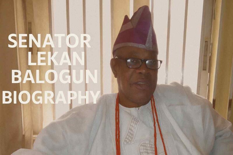 Senator Lekan Balogun Biography, Age, Career and Legacy