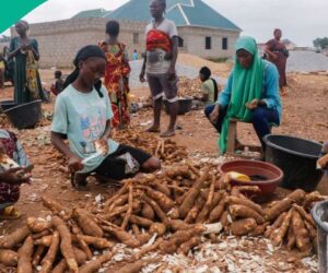 NADF Partners With BOA to Give Women, Youths Agricultural Loans