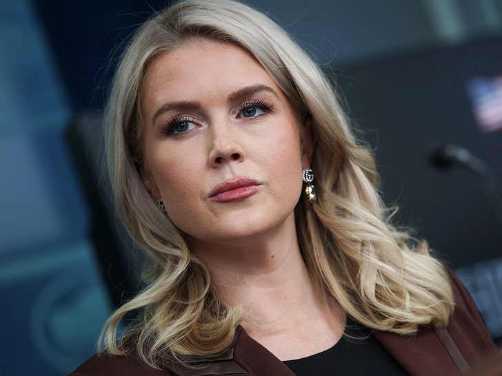 ICE arrests woman with family tie to White House Press Secretary Karoline Leavitt