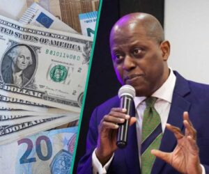 Nigeria Attracts $20.98bn Foreign Capital in 10 Months