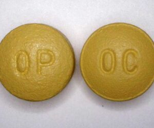 Purdue Pharma to be dissolved as US judge says to approve bankruptcy