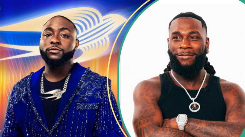 Burna Boy: Davido Unleashes Powerful Memo to Opponents Amid Colleague’s US Crisis