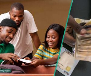 How to Apply for FG’s N50 million Student Venture Capital Grant As Portal Opens