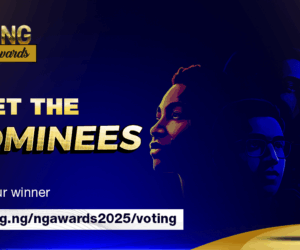88 nominees emerge for the 8th .ng awards as voting opens