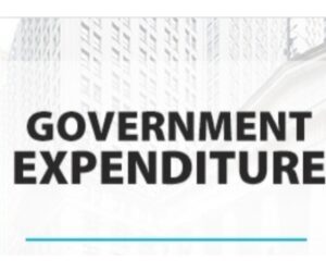 Experts torchlight govt expenditure as ‘cost of collection’ increases by 104% to N1.78trn in 2024