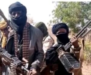 Bandits abduct nine, injure one in Sokoto attack