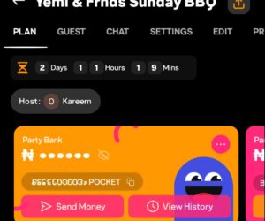 I tried planning a BBQ on Piggyvest-backed PartyVest