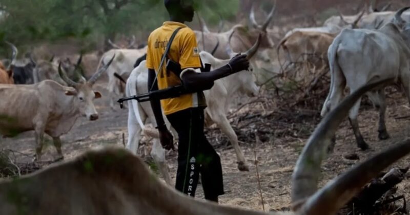 Herdsmen attack leaves woman maimed in Nasarawa community