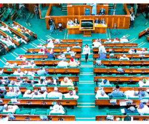Reps Frown At Absence Of Concerned Agencies, Operators