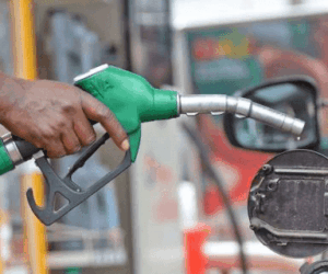 Petroleum marketers blame bureaucratic challenge, delays for soaring operational costs