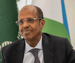 No gen0cide in northern Nigeria, African Union chief says