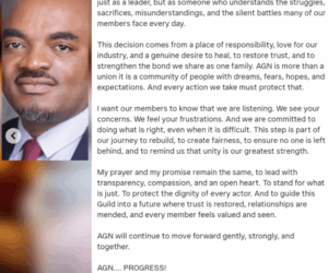 AGN president Emeka Rollas, DGN and AMP jointly suspend actor Taiye Arimoro over set altercation with actress Peggy Ovire