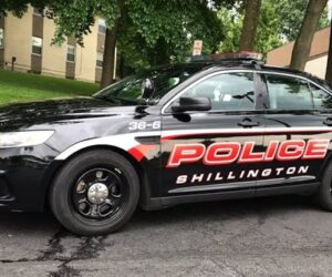 Dog accidentally shoots owner in freak accident as he cleaned gun