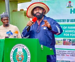 Governor Bago Commissions New SON Office in Niger