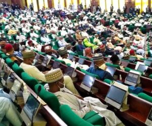 Niger assembly threatens to halt legislative proceedings over insecurity