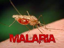 Malaria remains preventable yet deadly disease in Africa – CEOAFRICA boss 