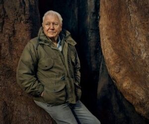 Prehistoric Planet: Ice Age no longer features David Attenborough, but don’t panic – it was always part of the creators’ plan