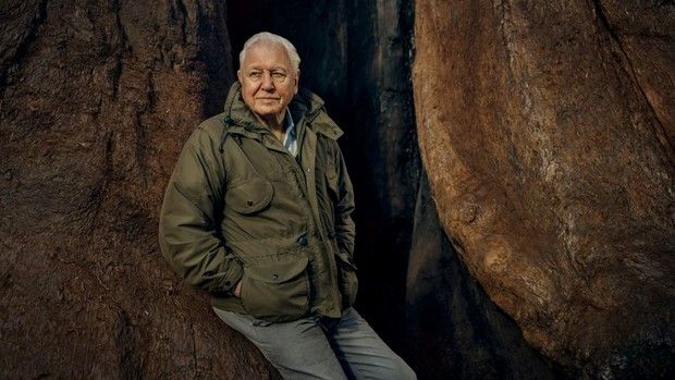 Prehistoric Planet: Ice Age no longer features David Attenborough, but don’t panic – it was always part of the creators’ plan